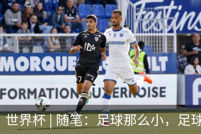 世界杯 | 随笔：足球那么小，足球这么大