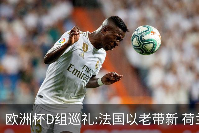 欧洲杯D组巡礼:法国以老带新 荷兰豪华后防