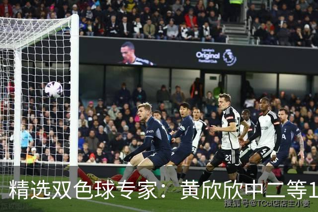 精选双色球专家：黄欣欣中二等114万 9人中5+1