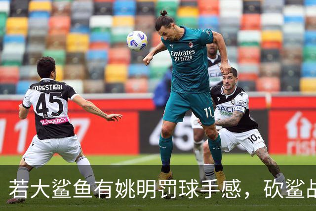 若大鲨鱼有姚明罚球手感，砍鲨战术或改变历史！奥尼尔少拿多少？