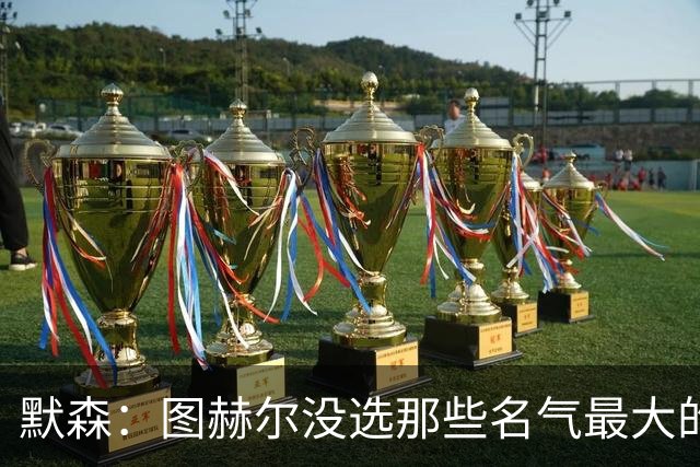 默森：图赫尔没选那些名气最大的球员，而是最适合他战术的