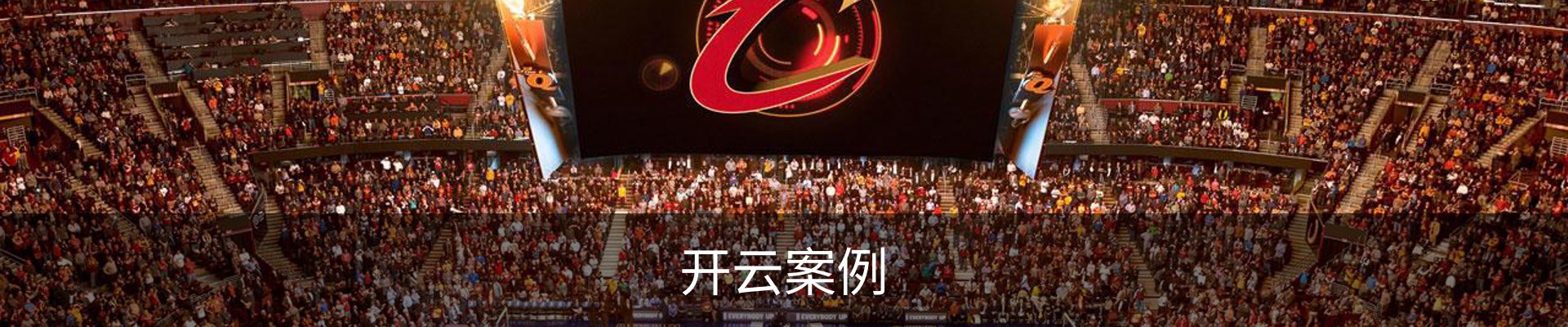 开云案例