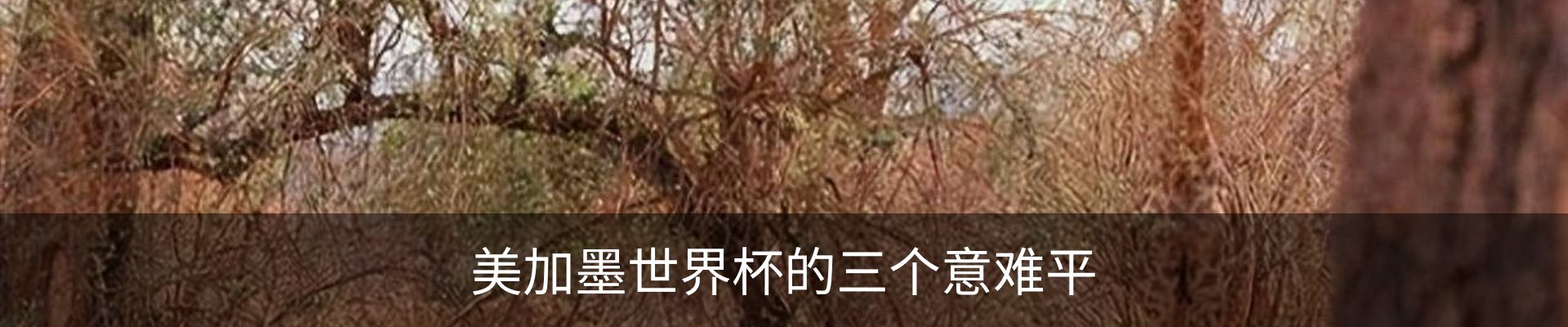 新闻中心